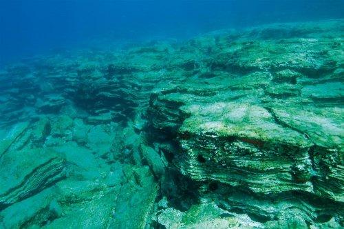 Cousteau’nun Akdeniz’i Geri Gelecek mi - Resim 3