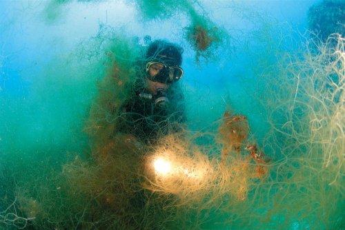 Cousteau’nun Akdeniz’i Geri Gelecek mi - Resim 4