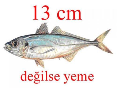 Küçük balık yoksa büyük balık da yok - Resim 3