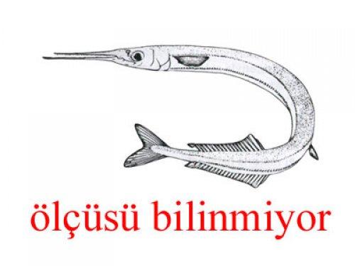 Küçük balık yoksa büyük balık da yok - Resim 26