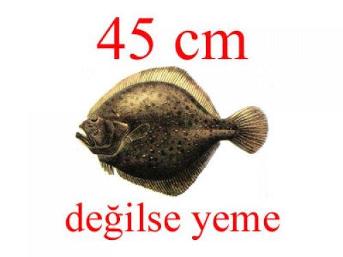 Küçük balık yoksa büyük balık da yok - Resim 24