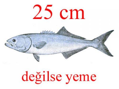 Küçük balık yoksa büyük balık da yok - Resim 12
