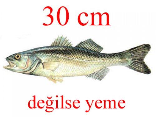 Küçük balık yoksa büyük balık da yok - Resim 19