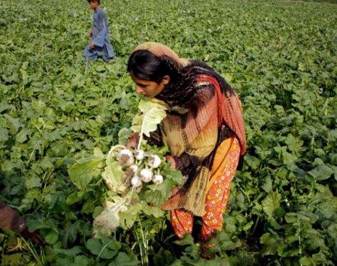 En ilginç ve tıklanlanma rekoru kıran fotoğraflar