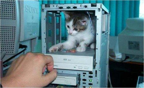 Korkunç ama çok komik kareler