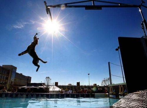 En ilginç ve tıklanlanma rekoru kıran fotoğraflar