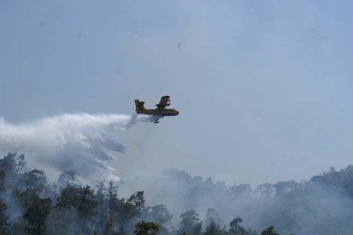 En ilginç ve tıklanlanma rekoru kıran fotoğraflar