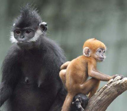 En ilginç ve tıklanlanma rekoru kıran fotoğraflar