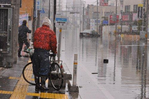 Japonya depreminden arda kalanlar - Resim 3