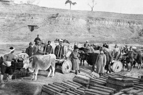 Çanakkale'nin gizli kalmış fotoğrafları - Resim 22