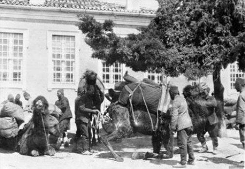 Çanakkale'nin gizli kalmış fotoğrafları - Resim 23