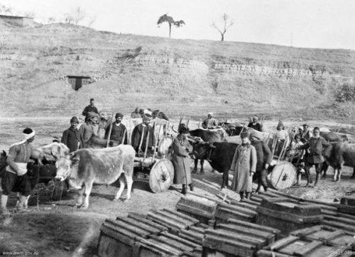 Çanakkale'nin gizli kalmış fotoğrafları - Resim 35