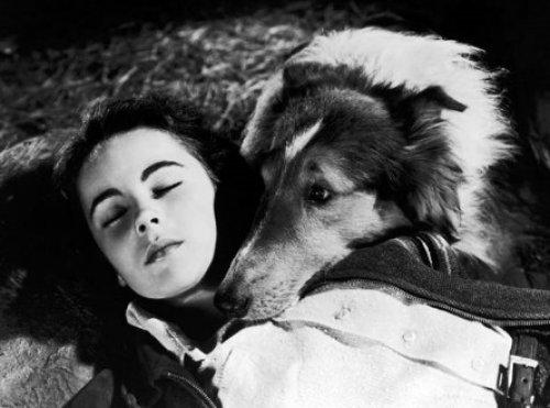 Elizabeth Taylor'un  79 yıla sığan hayatı 