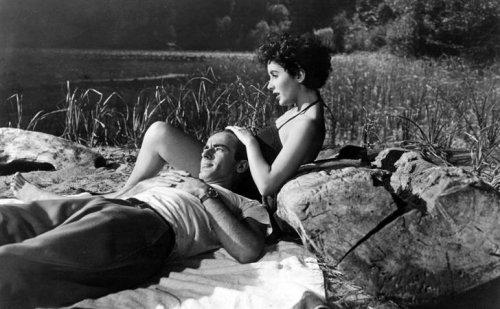 Elizabeth Taylor'un  79 yıla sığan hayatı 