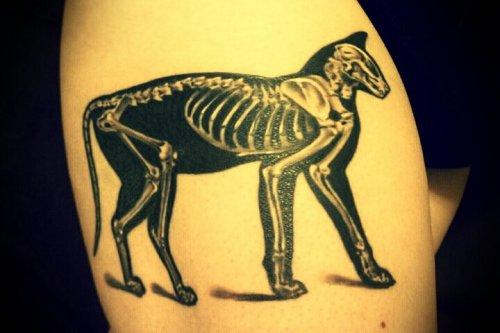 Meraklısına fikir veren dövmeler