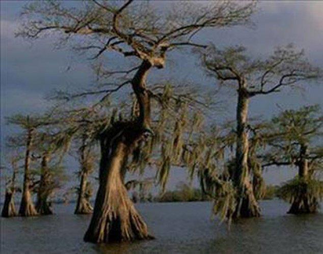 Dünyanın en korkunç yerleri