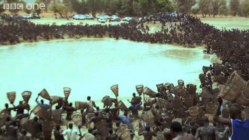 Kuruyan Antogo Gölü'nde balık avı - Resim 5