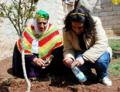 Öcalan'ın evinde toprak kapma yarışı - Resim 13