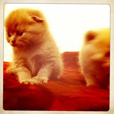 Mehmet Turgut Ceyla'yla birlikte