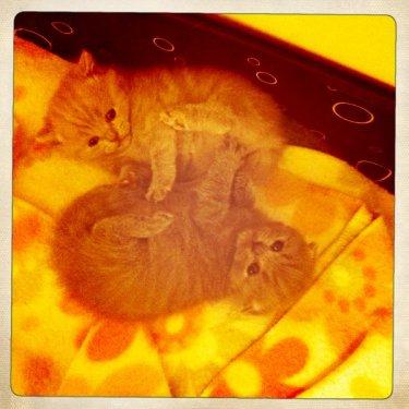 Mehmet Turgut Ceyla'yla birlikte