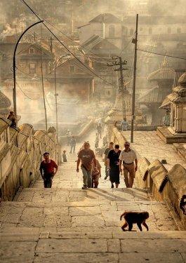 Ödüllü insan manzaraları - Resim 50