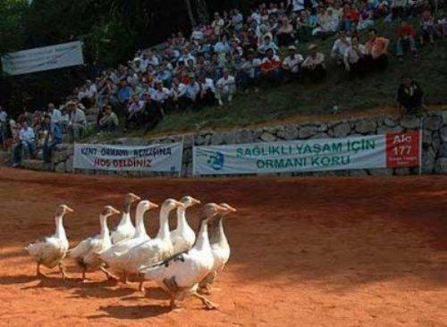 Yurdum insanı bambaşka