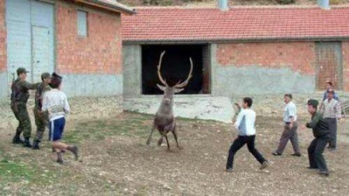 Yurdum insanı bambaşka