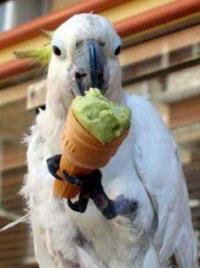 Yurdum insanı bambaşka