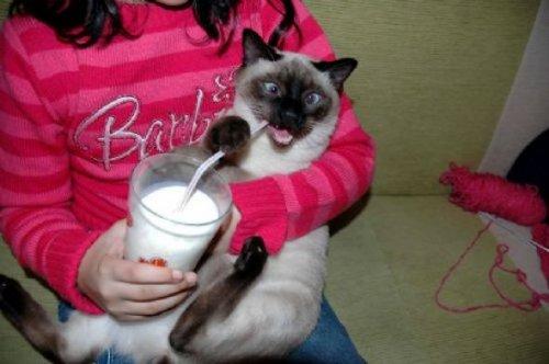 Yurdum insanı bambaşka