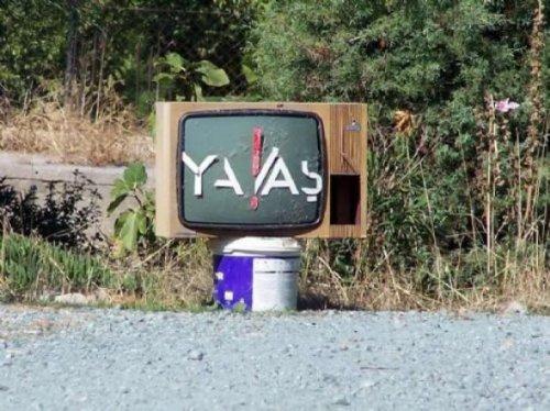 Yurdum insanı bambaşka