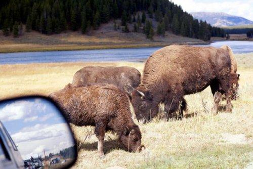 Otomobil aynasına yansıyan manzaralar