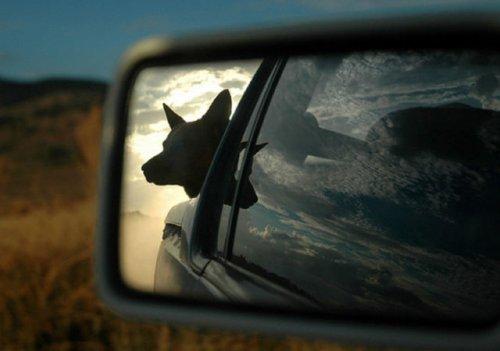 Otomobil aynasına yansıyan manzaralar