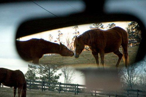 Otomobil aynasına yansıyan manzaralar