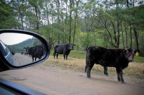Otomobil aynasına yansıyan manzaralar