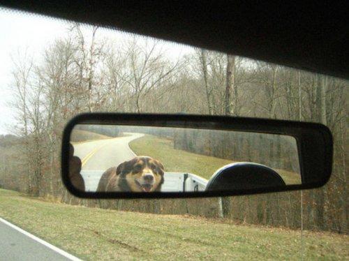 Otomobil aynasına yansıyan manzaralar