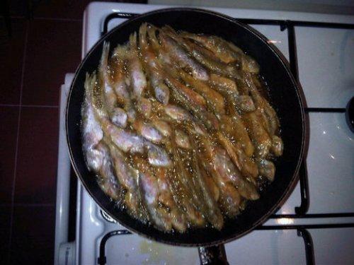 Ece Erken- Davut Güloğlu 