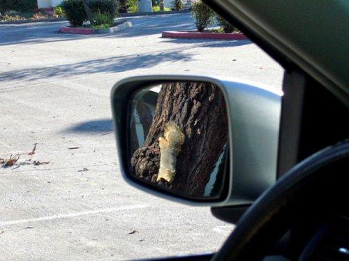 Otomobil aynasına yansıyan manzaralar