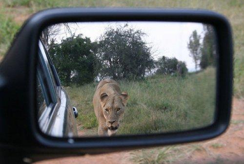 Otomobil aynasına yansıyan manzaralar