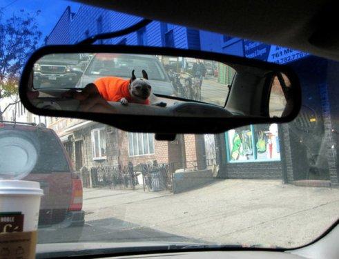 Otomobil aynasına yansıyan manzaralar