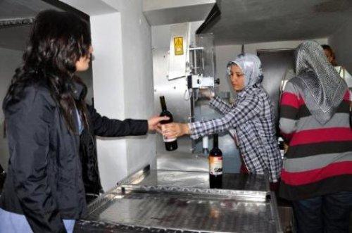 Elazığ'da şarap kursu tanıtımı - Resim 3