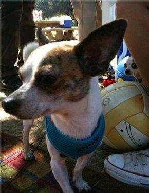 Fotoğrafı mahvetme sanatı