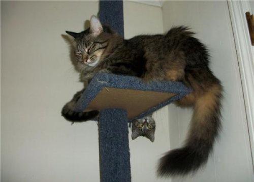 Fotoğrafı mahvetme sanatı