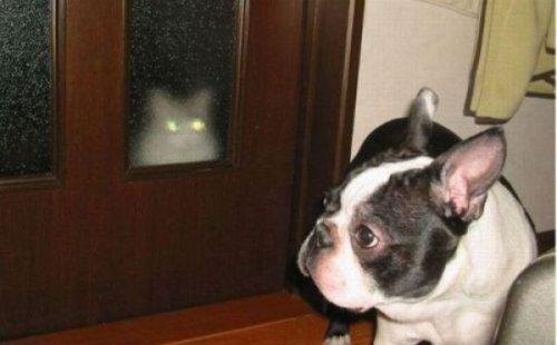 Fotoğrafı mahvetme sanatı