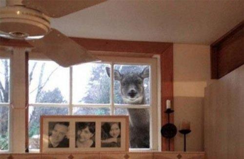 Fotoğrafı mahvetme sanatı