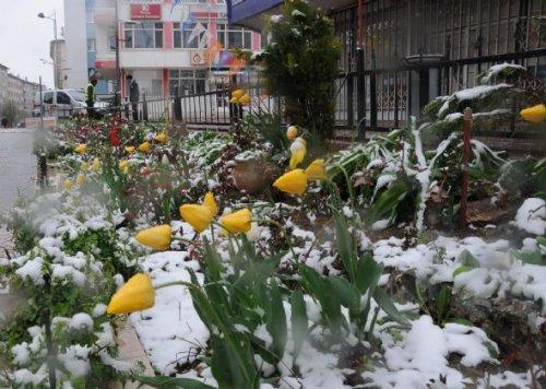 Sivas'ta Mayıs ayında kar  - Resim 5