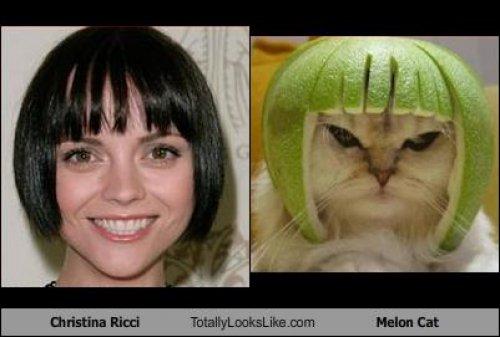 Ünlülerin komik benzerlikleri