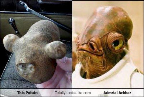 Ünlülerin komik benzerlikleri