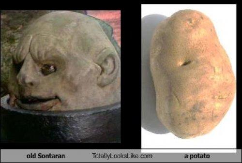 Ünlülerin komik benzerlikleri