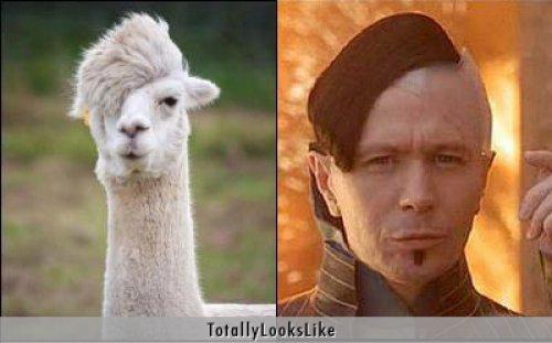 Ünlülerin komik benzerlikleri