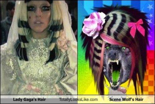 Ünlülerin komik benzerlikleri